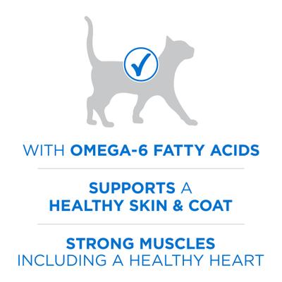 Plus Skin & Coat Health Formula Natural Salmon & Ocean Whitefish High Protein Dry Cat Food, 22-lb bag