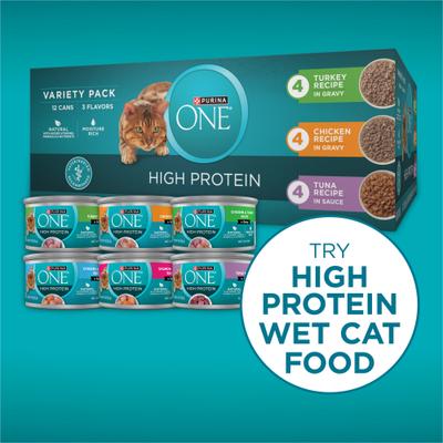 Plus Skin & Coat Health Formula Natural Salmon & Ocean Whitefish High Protein Dry Cat Food, 22-lb bag