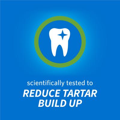 Savory Salmon Flavor Dental Cat Treats, 19-oz bag