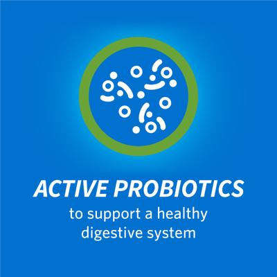 Savory Salmon Flavor Dental Cat Treats, 19-oz bag