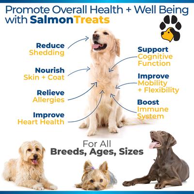 Salmon Advanced Skin & Coat Natural Salmon Flavor Soft Chews Dog Supplement, 120 count