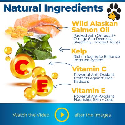 Salmon Advanced Skin & Coat Natural Salmon Flavor Soft Chews Dog Supplement, 120 count