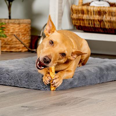 American Beefhide 5-inch Chip Rolls Chicken Flavored Chewy Dog Treats, 16 count