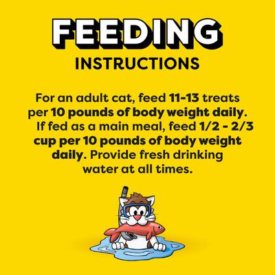 Classic Savory Salmon Flavor Crunchy & Soft Cat Treats, 16-oz tub