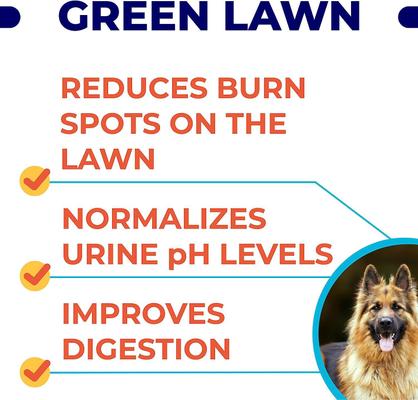 Grass Burn Spot & Urine Neutralizer for Lawn Chew Supplement for Dogs, 120 count
