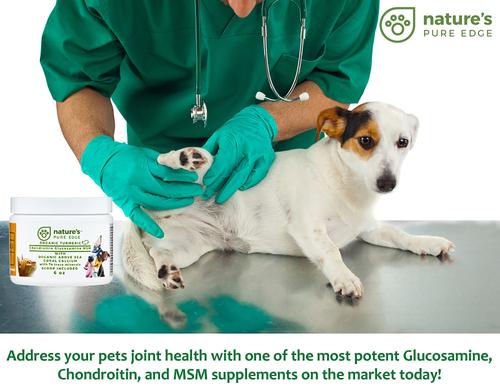 Hip & Joint & Tumeric Dog & Cat Supplement, 6-oz jar