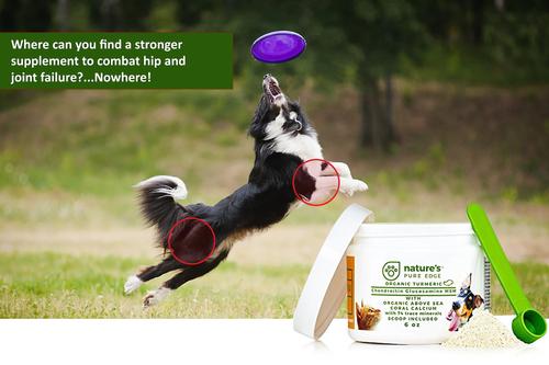 Hip & Joint & Tumeric Dog & Cat Supplement, 6-oz jar