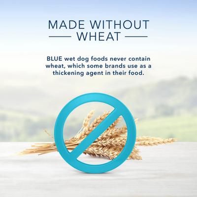 Homestyle Recipe Small Breed Chicken Dinner Canned Dog Food, 5.5-oz, case of 24