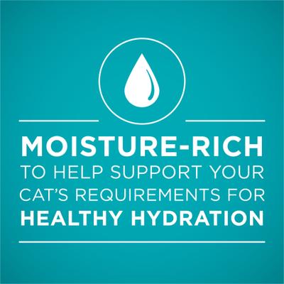 Natural Tuna in Sauce High Protein Wet Cat Food, 3-oz can, case of 24