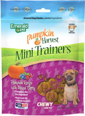 Pumpkin Harvest Mini Trainers Mixed Berry Soft & Chewy Dog Treats, 6-oz bag