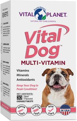 Vital Dog Daily Multivitamin Beef Flavor Chewable Tablet Dog Supplement, 30 count