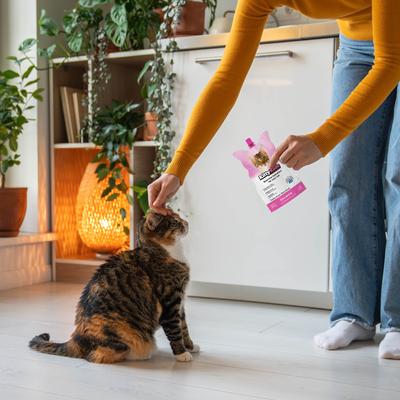 Prebiotic Drink Salmon Flavored Liquid Digestive Supplement for Cats, 250-mL pouch, case of 3