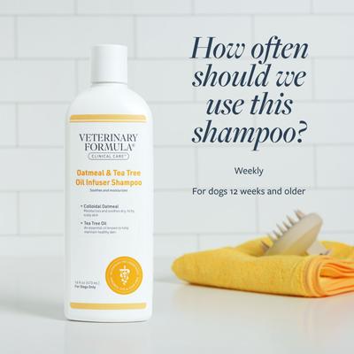 Oatmeal & Tea Tree Oil Infuser Shampoo, 16-fl oz bottle