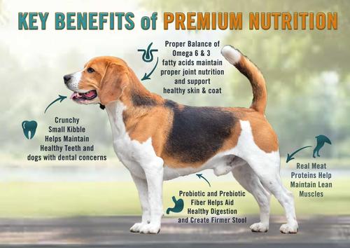 Small Bites Adult Chicken, Turkey & Brown Rice Recipe Dog Food, 4.5-lb bag