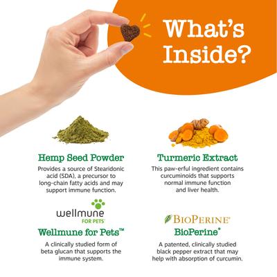 Hemp Elements Hip & Joint Bites Chicken Flavored Soft Chews Glucosamine Supplement for Dogs, 90 count