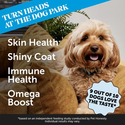 Skin Health Salmon Salmon Flavor Soft Chews Skin & Coat, Fish Oil Supplement for Dogs, 90-count