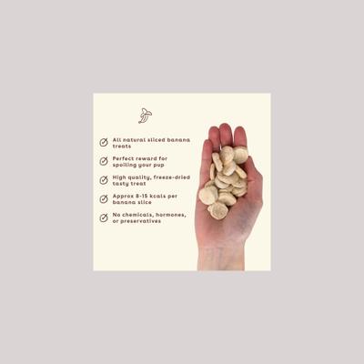 Reward Banana Chips Natural Freeze-Dried Dog Treats, 6-oz bag