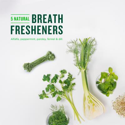 Large Mint Flavored Dental Dog Treats 50+ lbs, 48-oz bag, 36 count