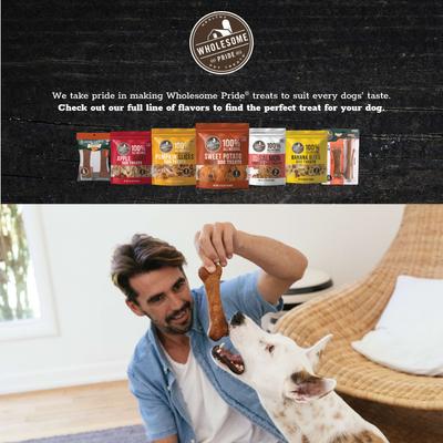 Natural & Healthy Bacon Flavor Small Dog Chews, 2 count