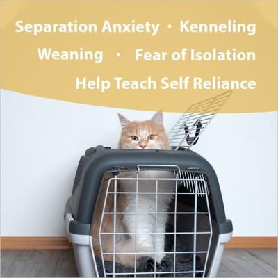 Independence Calming Pet Supplement, 1-fl oz bottle