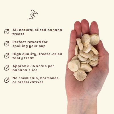 Reward Banana Chips Natural Freeze-Dried Dog Treats, 3-oz bag