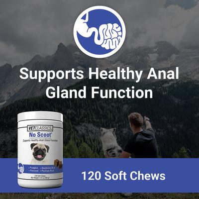 No Scoot Anal Gland Function Support Soft Chews Dog Supplement, 120 count