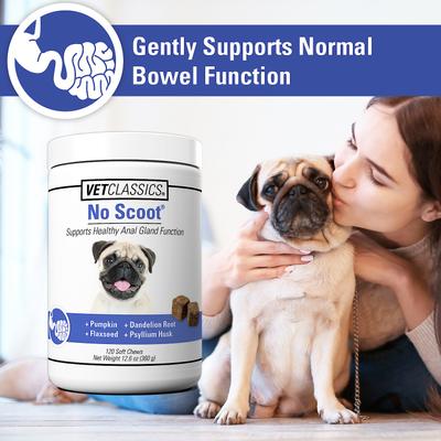 No Scoot Anal Gland Function Support Soft Chews Dog Supplement, 120 count