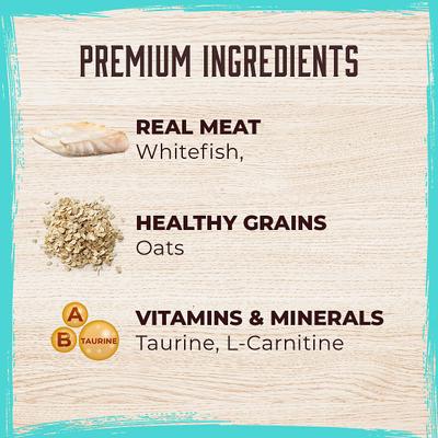 Fish Recipe Canned Dog Food, 13-oz, case of 12