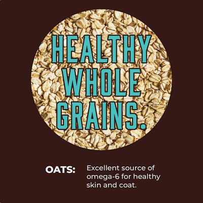 Fish Recipe Canned Dog Food, 13-oz, case of 12