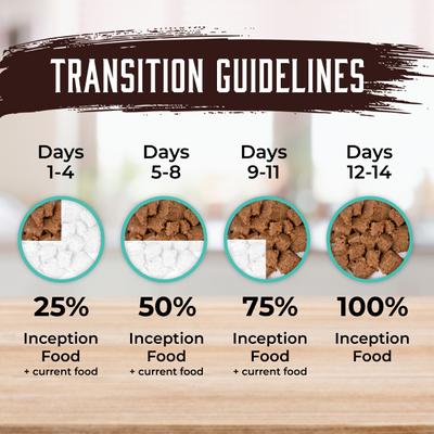 Fish Recipe Canned Dog Food, 13-oz, case of 12