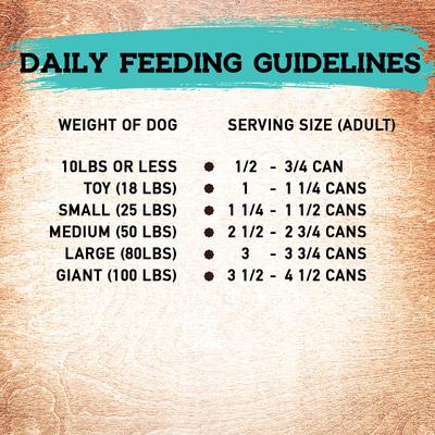 Fish Recipe Canned Dog Food, 13-oz, case of 12