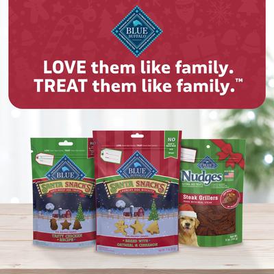 Nudges Holiday Grillers Beef Jerky Dog Treats, 5-oz bag
