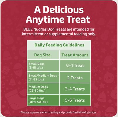 Nudges Holiday Grillers Beef Jerky Dog Treats, 5-oz bag