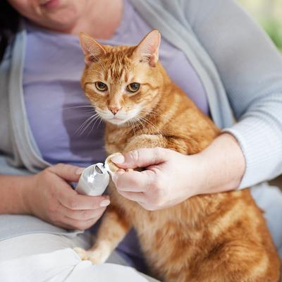 Rechargeable Cordless Cat & Dog 3-Speed Nail Grinder, White