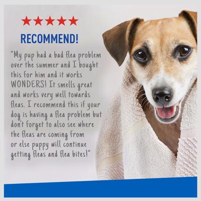 Plus Flea & Tick Shampoo Sensitive Skin for Cats & Dogs, 1-gal bottle