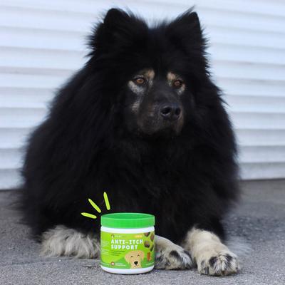 Anti-Itch Support Peanut Butter Flavored Dog Soft Chews Supplement, 90 count