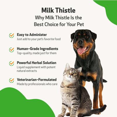Milk Thistle Bacon Flavored Liquid Liver Supplement for Dogs & Cats, 2-oz bottle