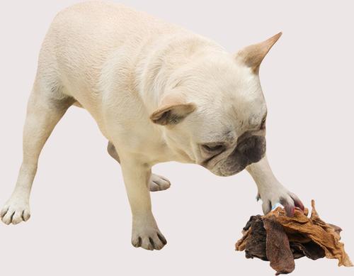 Herders Choice Chews Green Tripe Dehydrated Dog Treats, 3.5-oz bag