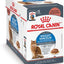 Feline Care Nutrition Weight Care Adult Thin Slices in Gravy Wet Cat Food, 3-oz, case of 6