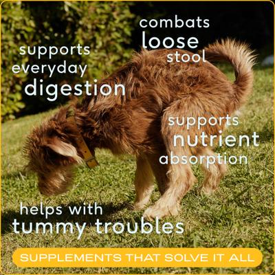 Organic Pumpkin Fiber Powder Digestive Supplement for Dogs, 8-oz