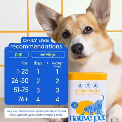 Native Pet, Pumpkin Powder, Calabaza Orgánica + Semilla de Calabaza + Manzana para Digestión y Heces, Perros, 227 / 454 / 907 g