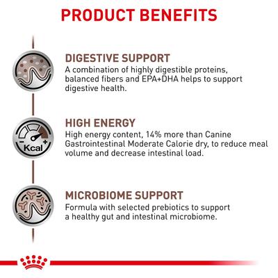 Adult Gastrointestinal Dry Dog Food, 22-lb bag