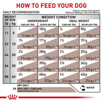 Adult Gastrointestinal Dry Dog Food, 22-lb bag
