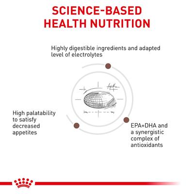 Adult Gastrointestinal Dry Dog Food, 22-lb bag