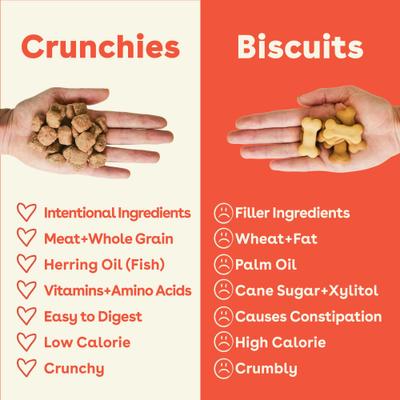 Beef & Brown Rice Natural Biscuit Dog Treats, 8-oz pouch