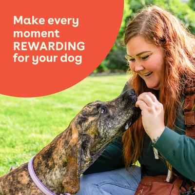 Beef & Brown Rice Natural Biscuit Dog Treats, 8-oz pouch