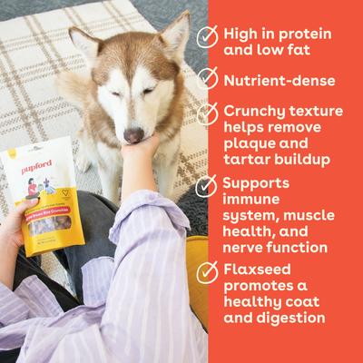 Beef & Brown Rice Natural Biscuit Dog Treats, 8-oz pouch
