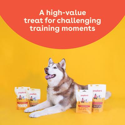 Beef & Brown Rice Natural Biscuit Dog Treats, 8-oz pouch