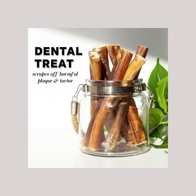 Bully Sticks - Premios jumbo para perros de 6 pulgadas, 10 unidades