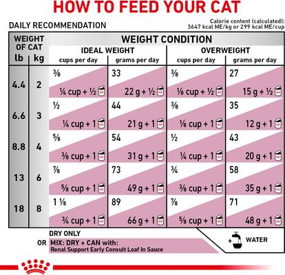 Adult Renal Support Early Consult Dry Cat Food, 8.8-lb bag